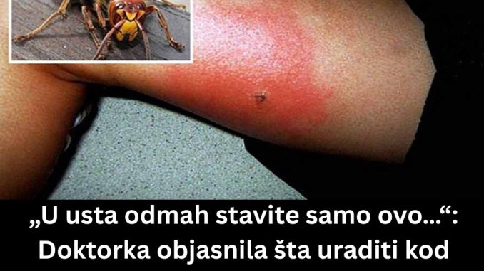 Măsuri de Prim Ajutor la Înțepătura de Viespe